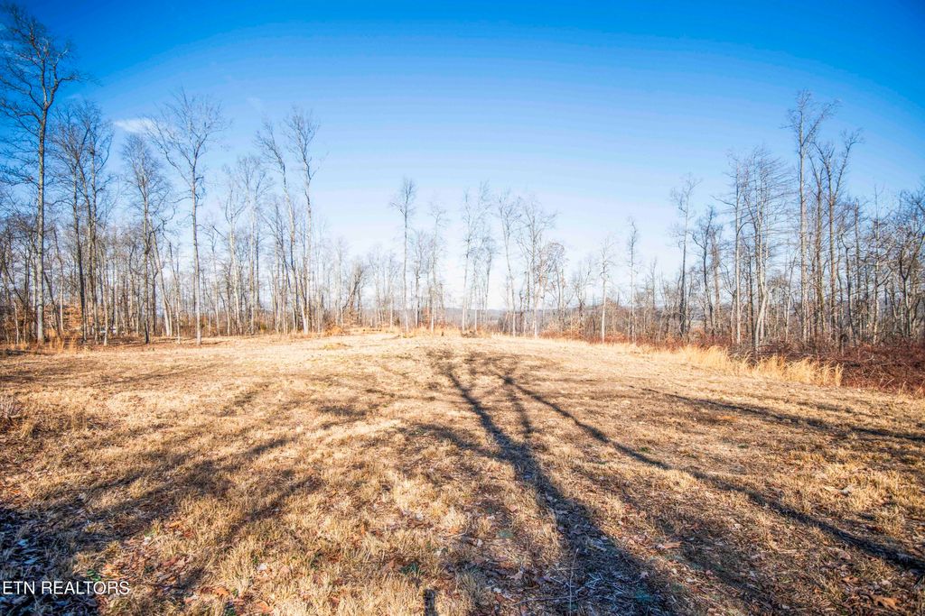 Photo of 234 Sandy Lane, Maynardville, TN 37807 (MLS # 1254368)