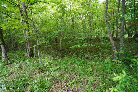 Tiny photo for 00 Greenfields Rd, Spencer, TN 38585 (MLS # 1327668)