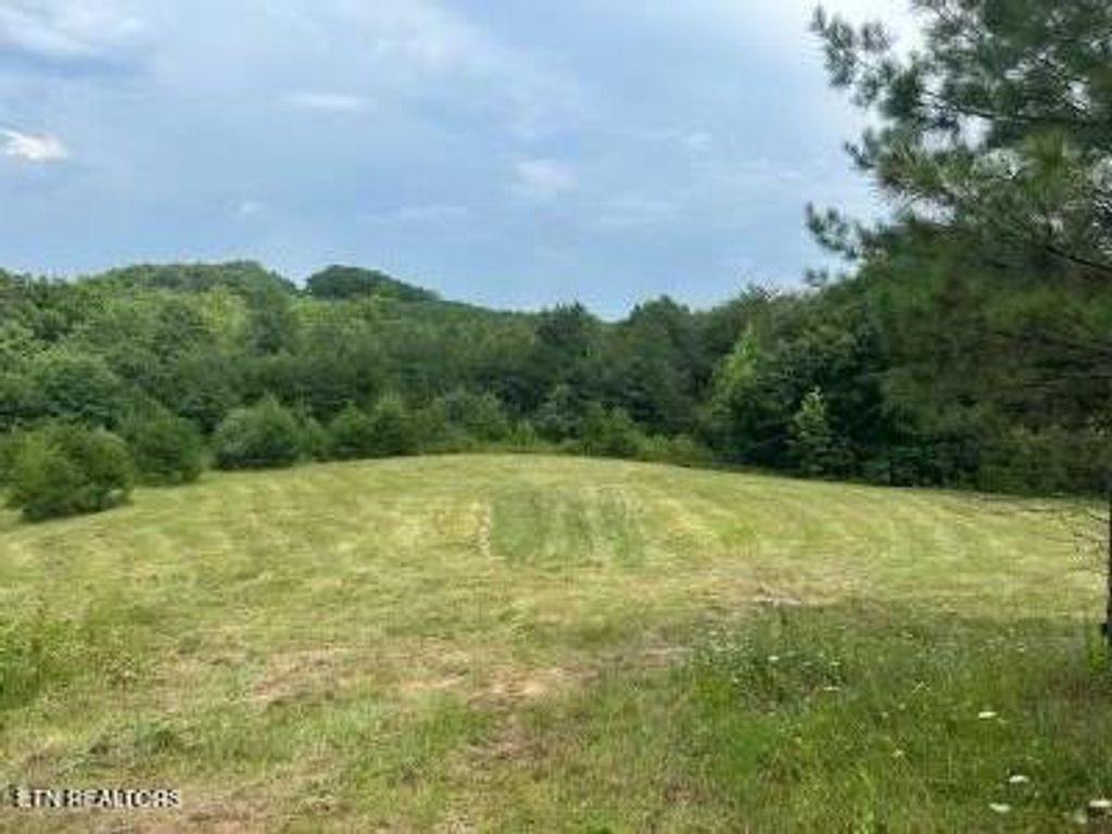 Photo of 00 Greenfields Rd, Spencer, TN 38585 (MLS # 1327668)