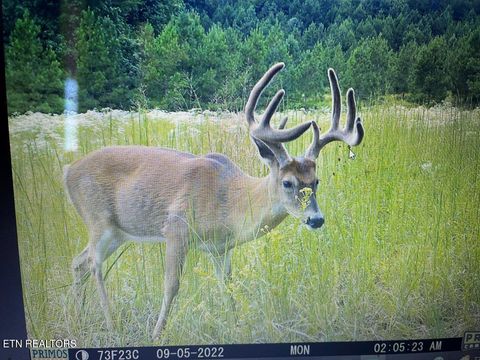 Tiny photo for 00 Greenfields Rd, Spencer, TN 38585 (MLS # 1327668)