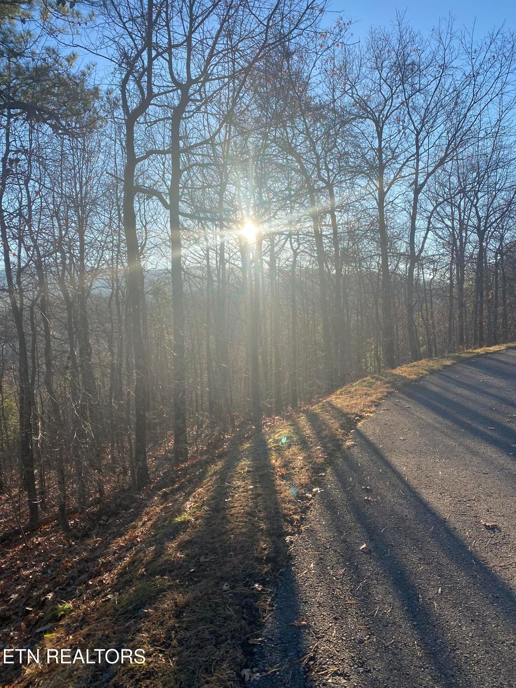 Photo of 7 Lightning Bug Way, Gatlinburg, TN 37738 (MLS # 1289265)