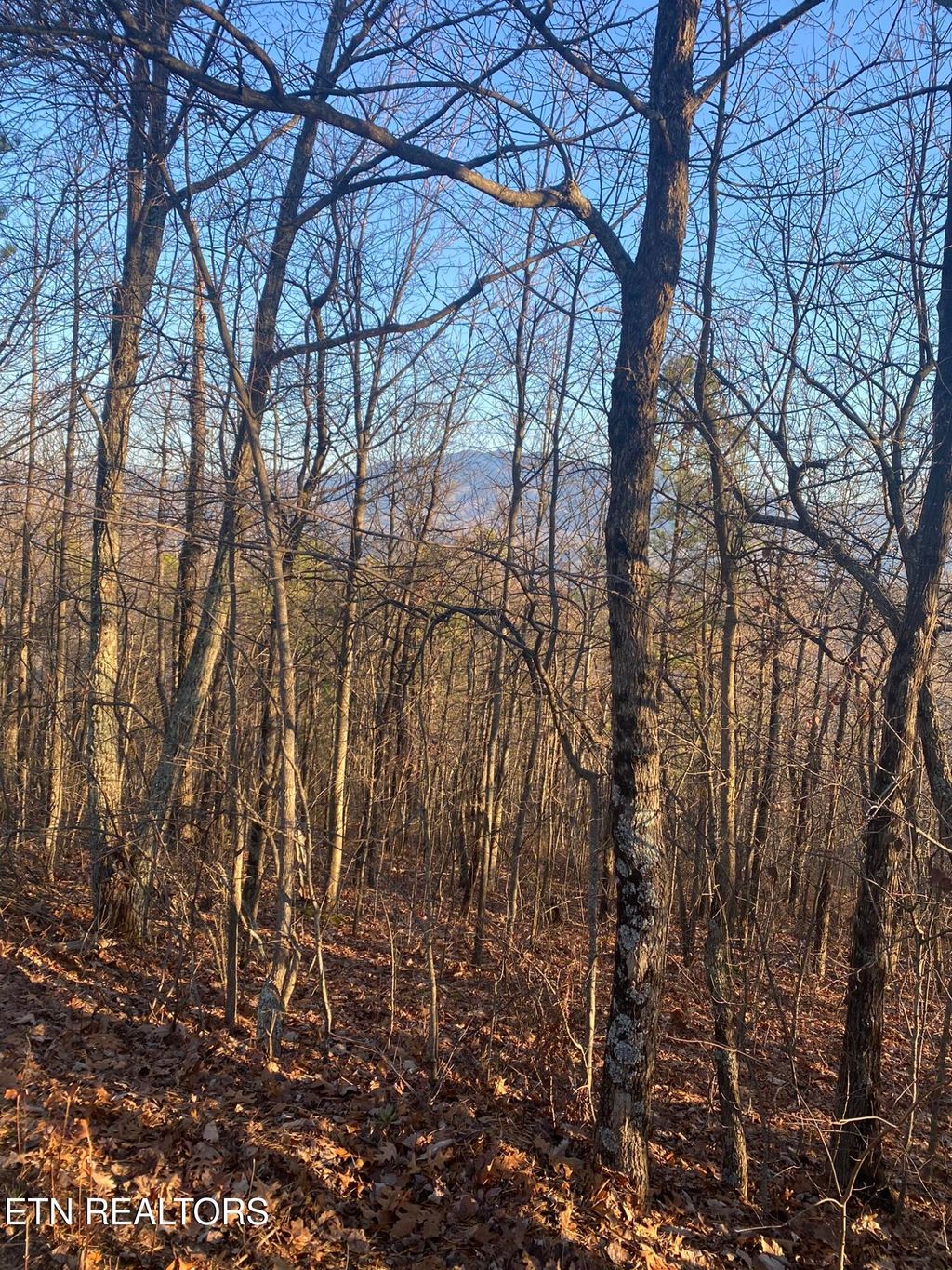 Photo of 7 Lightning Bug Way, Gatlinburg, TN 37738 (MLS # 1289265)