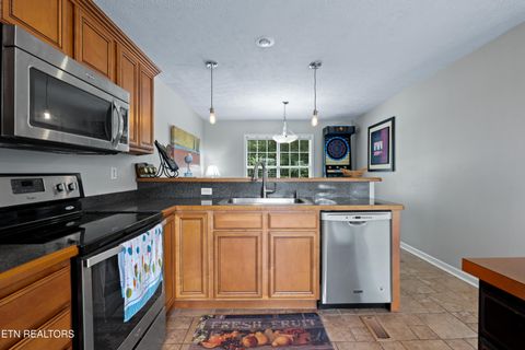 Tiny photo for 1413 Highway 139, Dandridge, TN 37725 (MLS # 1346967)