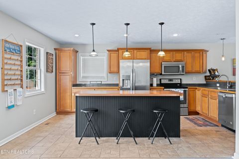 Tiny photo for 1413 Highway 139, Dandridge, TN 37725 (MLS # 1346967)