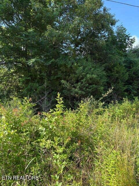 Photo of 6 Old Furnace Rd, Tellico Plains, TN 37385 (MLS # 1344795)