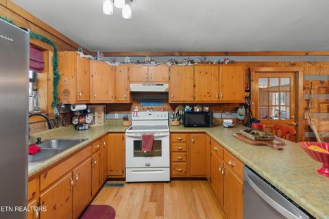 Tiny photo for 855 Chestnut Grove Circle, Dandridge, TN 37725 (MLS # 1328269)