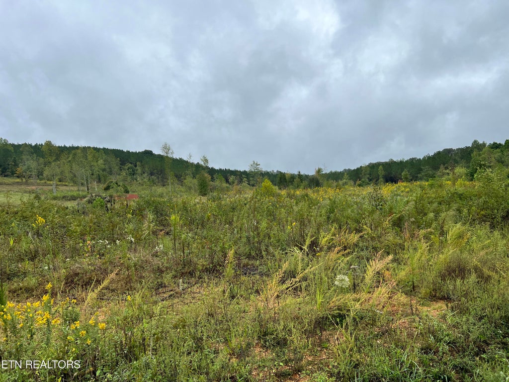 Photo of N Lot 4 North Nopone Valley Rd Rd, Decatur, TN 37322 (MLS # 1278095)