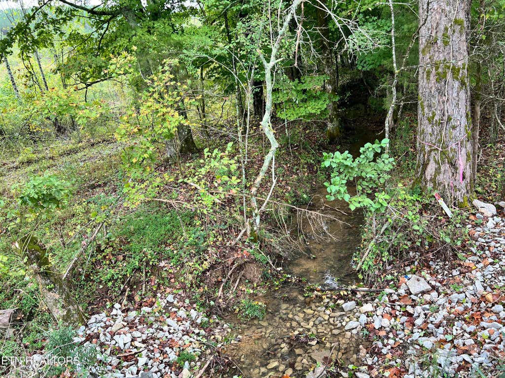 Photo of N Lot 4 North Nopone Valley Rd Rd, Decatur, TN 37322 (MLS # 1278095)