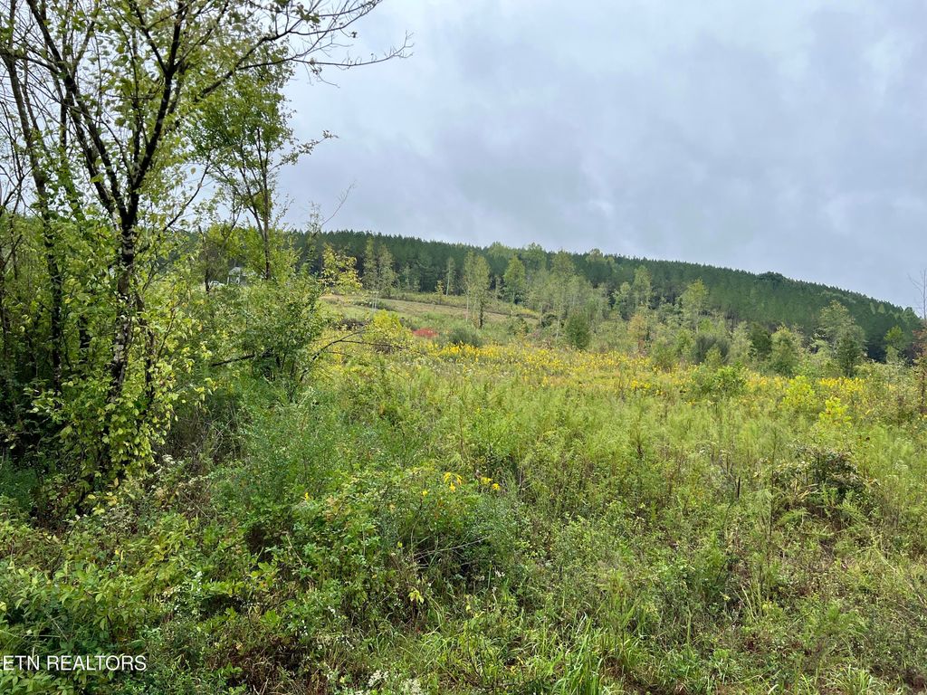 Photo of N Lot 4 North Nopone Valley Rd Rd, Decatur, TN 37322 (MLS # 1278095)