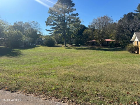 Tiny photo for 0 NE Bates St, Charleston, TN 37310 (MLS # 1359632)