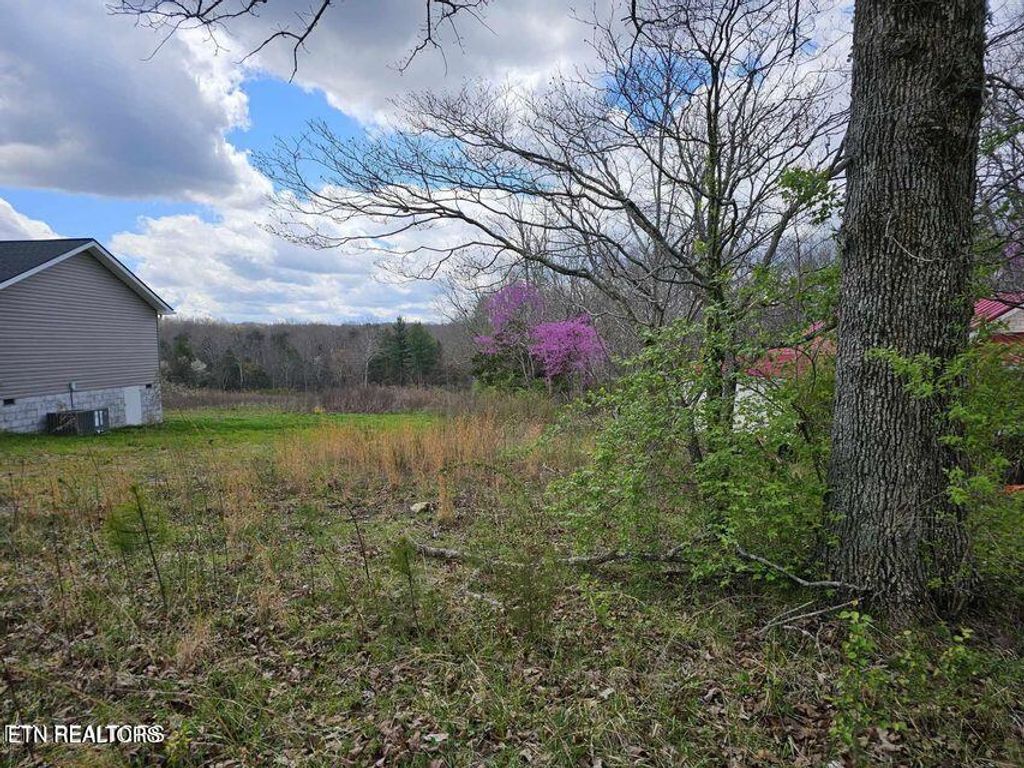 Photo of Sparta Drive, Crossville, TN 38555 (MLS # 1328055)