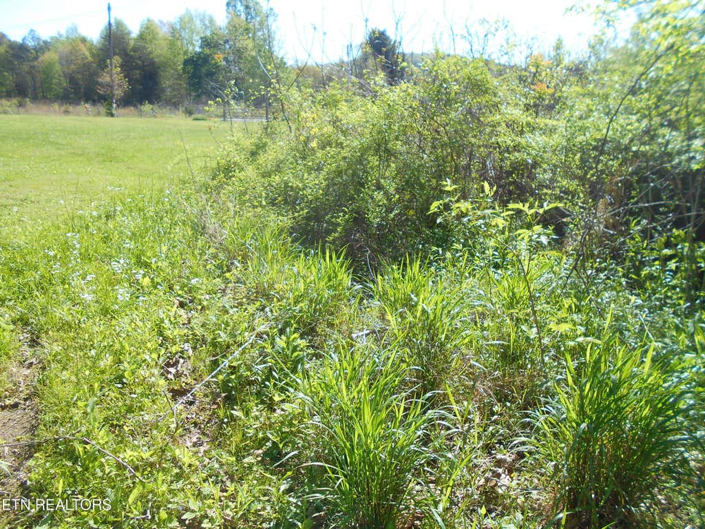 Photo of 675 Fitch Rd, Ten Mile, TN 37880 (MLS # 1260177)