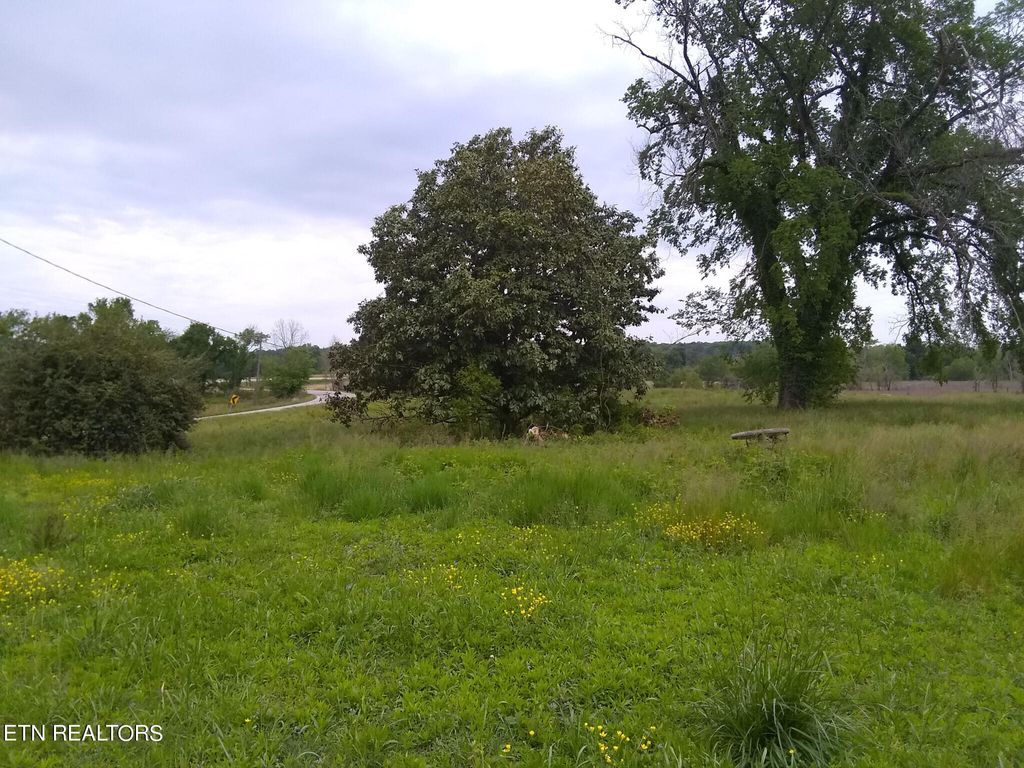 Photo of 4480 River Rd, Decatur, TN 37322 (MLS # 1243819)