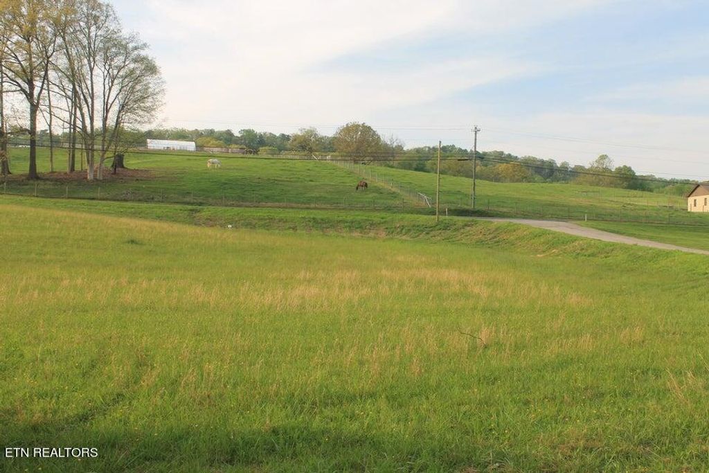 Photo of 6 Roddy Branch Rd, Rockford, TN 37853 (MLS # 1258653)