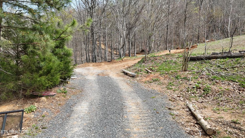 Photo of 561 Geren Subd Lane, Decatur, TN 37322 (MLS # 1335124)