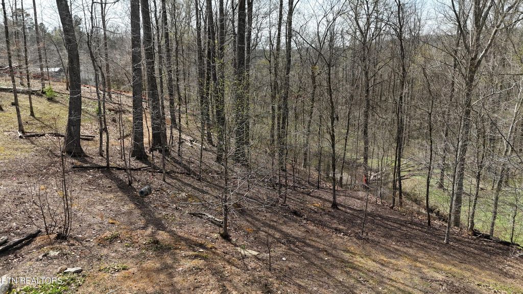 Photo of 561 Geren Subd Lane, Decatur, TN 37322 (MLS # 1335124)