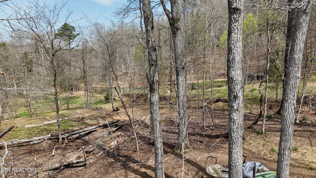 Photo of 561 Geren Subd Lane, Decatur, TN 37322 (MLS # 1335124)