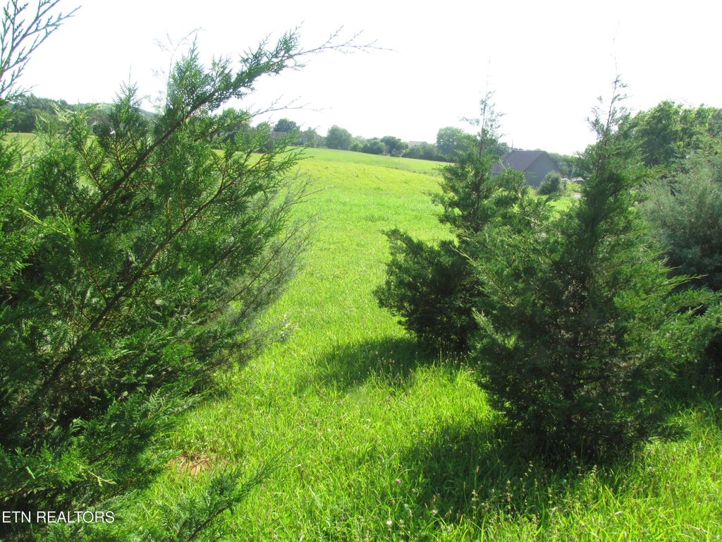 Photo of Edgewood Drive, Sweetwater, TN 37874 (MLS # 1305697)