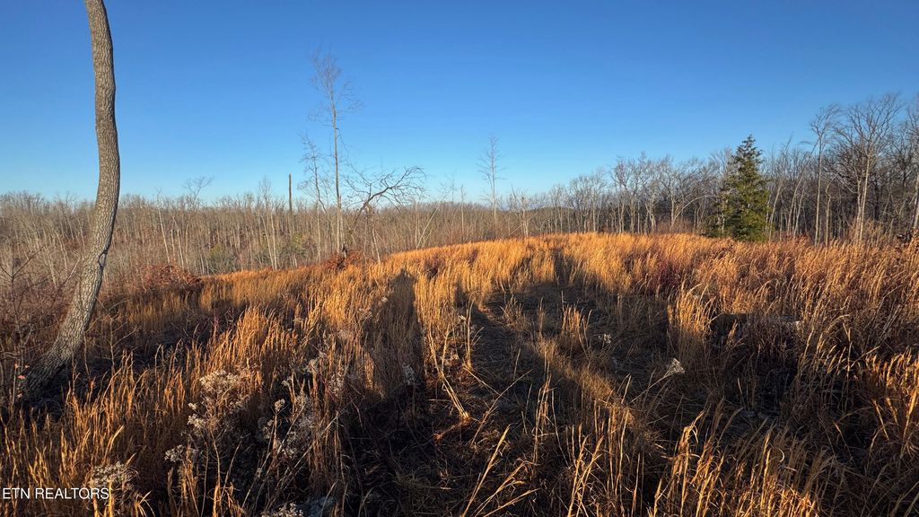 Photo of 161 Aspen Heights Drive, Jamestown, TN 38556 (MLS # 1327982)