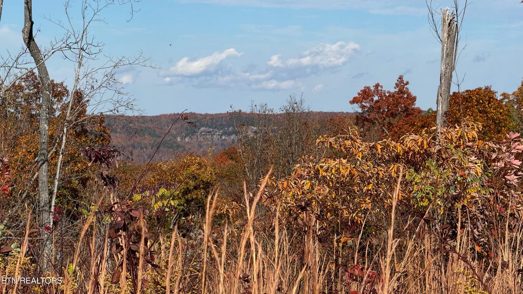 Photo of 161 Aspen Heights Drive, Jamestown, TN 38556 (MLS # 1327982)