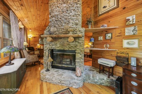 Tiny photo for 7247 Old Tuckaleechee Rd, Townsend, TN 37882 (MLS # 1337181)