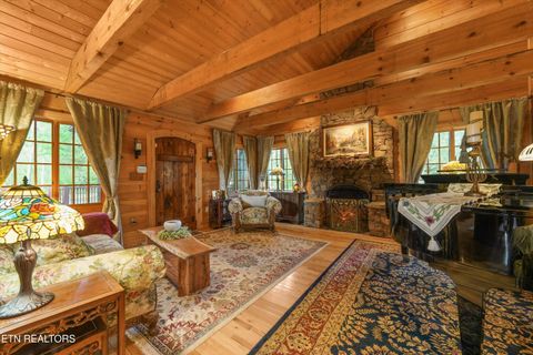 Tiny photo for 7247 Old Tuckaleechee Rd, Townsend, TN 37882 (MLS # 1337181)