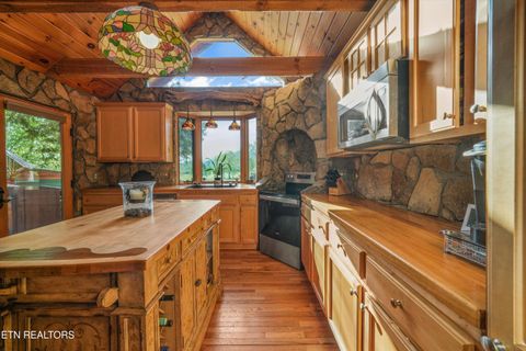 Tiny photo for 7247 Old Tuckaleechee Rd, Townsend, TN 37882 (MLS # 1337181)