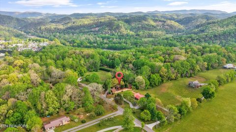 Tiny photo for 7247 Old Tuckaleechee Rd, Townsend, TN 37882 (MLS # 1337181)