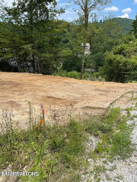 Perry Smith Lane Caryville TN 37714