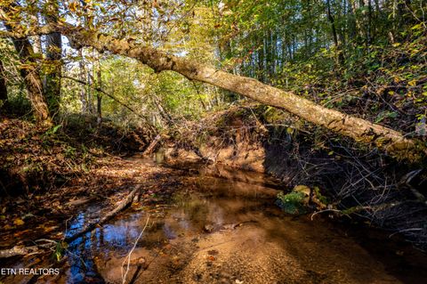 Tiny photo for 139 Stakely Rd, Madisonville, TN 37354 (MLS # 1319759)