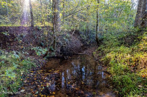 Tiny photo for 139 Stakely Rd, Madisonville, TN 37354 (MLS # 1319759)