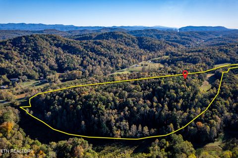 Tiny photo for 139 Stakely Rd, Madisonville, TN 37354 (MLS # 1319759)