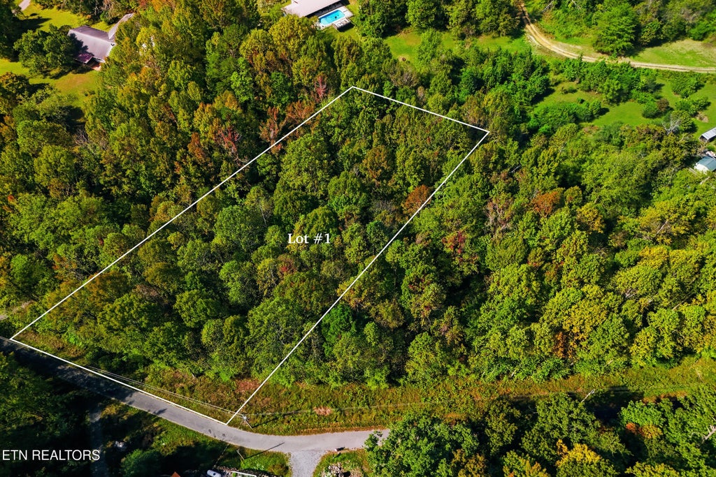 Photo of 1 Timber Lake Drive, Cosby, TN 37722 (MLS # 1358703)