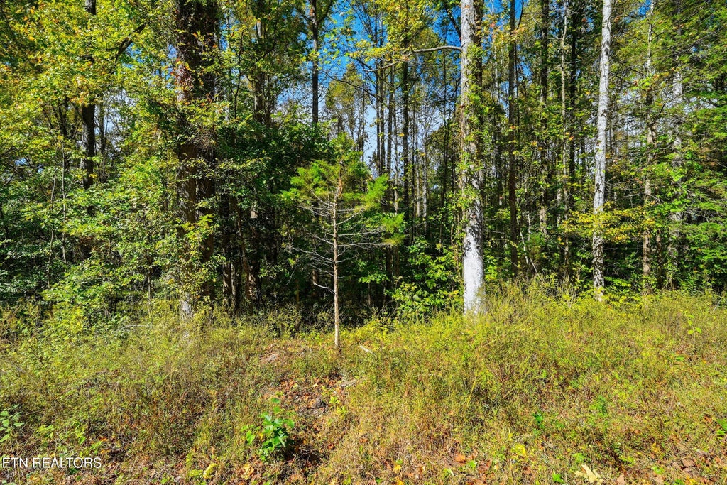 Photo of 1 Timber Lake Drive, Cosby, TN 37722 (MLS # 1358703)