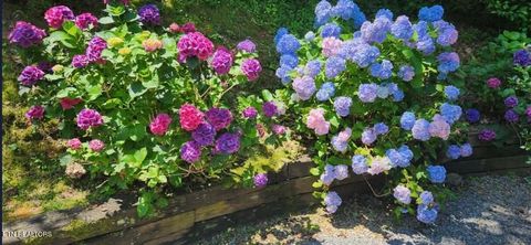 Tiny photo for 994 Emilyville Way, Cosby, TN 37722 (MLS # 1333289)