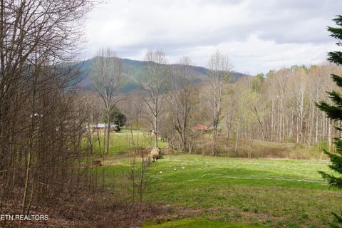 Tiny photo for 994 Emilyville Way, Cosby, TN 37722 (MLS # 1333289)