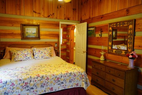 Tiny photo for 994 Emilyville Way, Cosby, TN 37722 (MLS # 1333289)