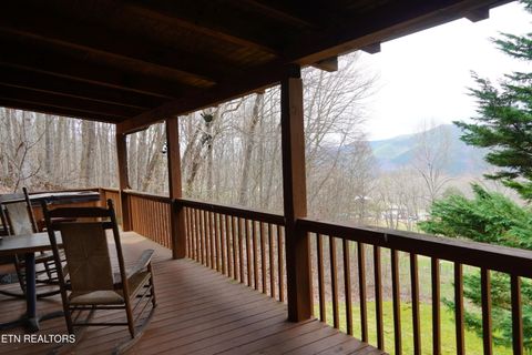 Tiny photo for 994 Emilyville Way, Cosby, TN 37722 (MLS # 1333289)