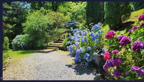 Tiny photo for 994 Emilyville Way, Cosby, TN 37722 (MLS # 1333289)