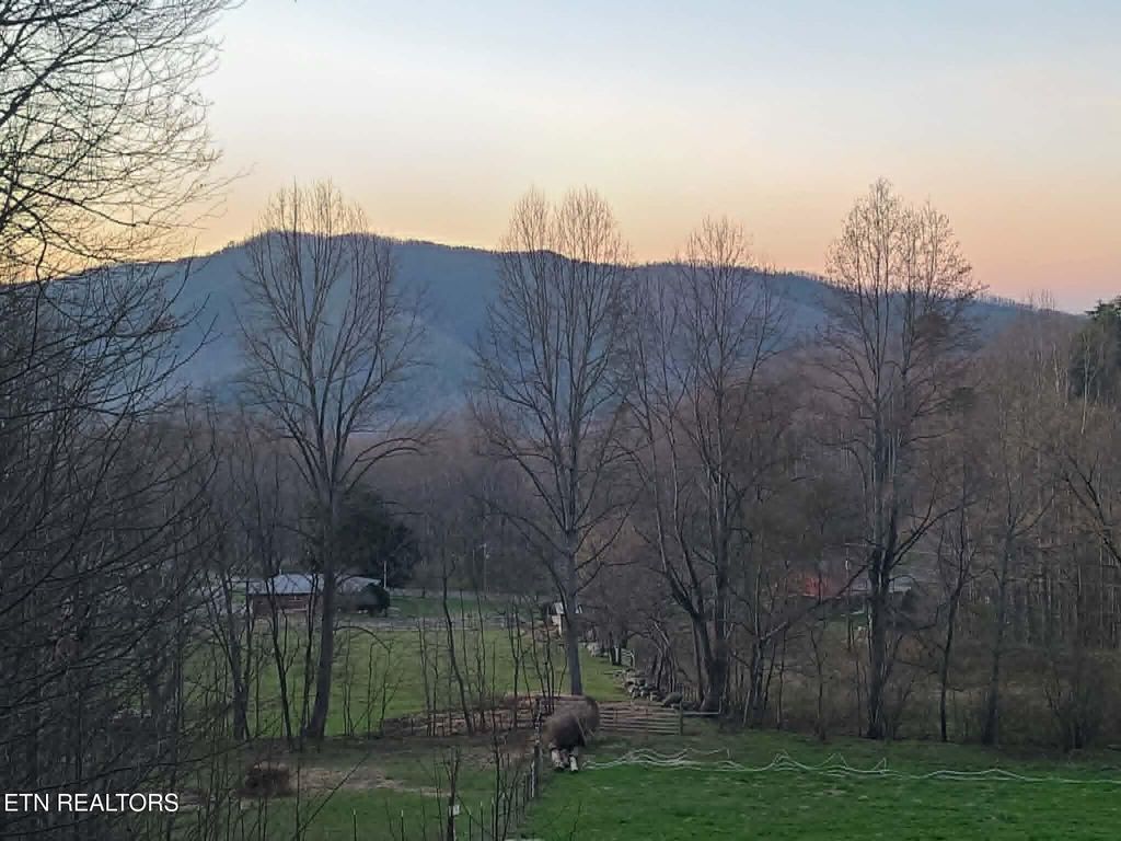 Photo of 994 Emilyville Way, Cosby, TN 37722 (MLS # 1333289)