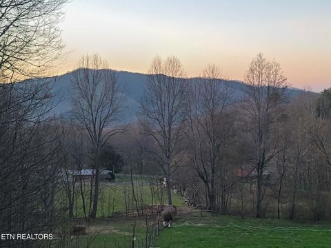 Tiny photo for 994 Emilyville Way, Cosby, TN 37722 (MLS # 1333289)