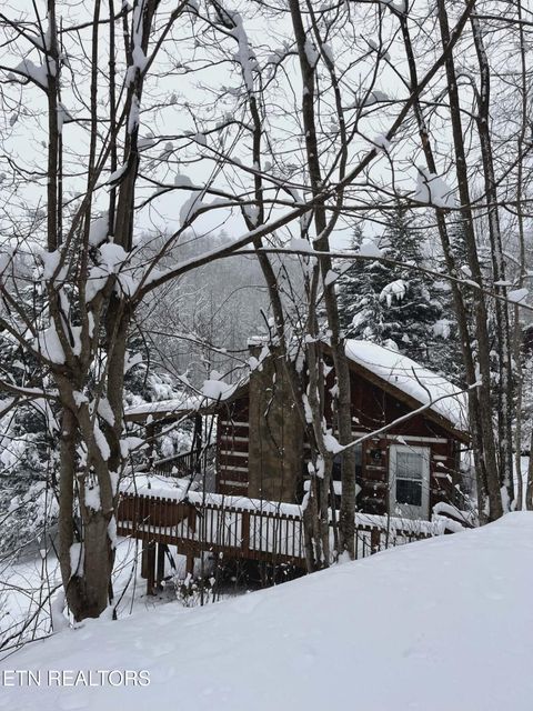 Tiny photo for 994 Emilyville Way, Cosby, TN 37722 (MLS # 1333289)