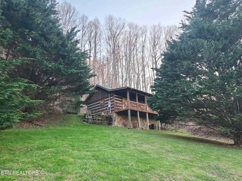 Tiny photo for 994 Emilyville Way, Cosby, TN 37722 (MLS # 1333289)