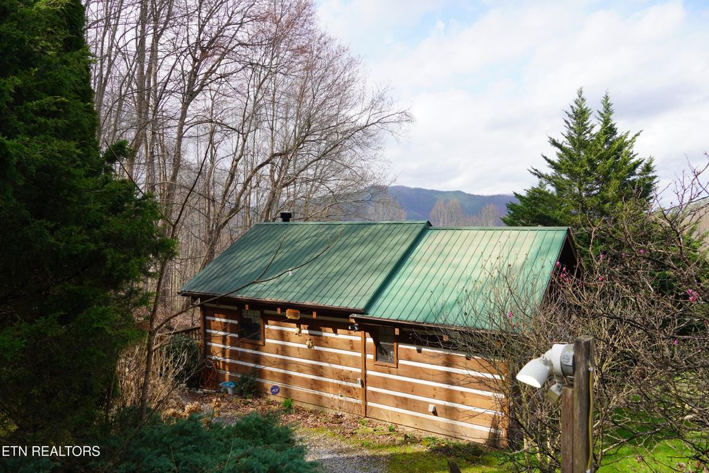 Photo of 994 Emilyville Way, Cosby, TN 37722 (MLS # 1333289)