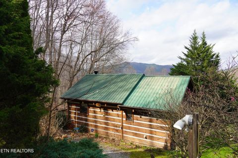 Photo of 994 Emilyville Way, Cosby, TN 37722 (MLS # 1333289)