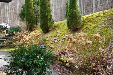 Tiny photo for 994 Emilyville Way, Cosby, TN 37722 (MLS # 1333289)