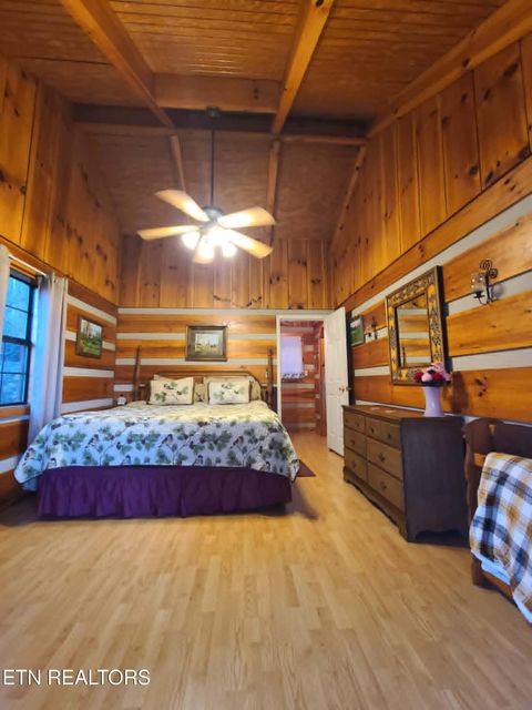 Tiny photo for 994 Emilyville Way, Cosby, TN 37722 (MLS # 1333289)