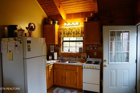 Tiny photo for 994 Emilyville Way, Cosby, TN 37722 (MLS # 1333289)