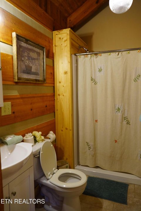 Tiny photo for 994 Emilyville Way, Cosby, TN 37722 (MLS # 1333289)