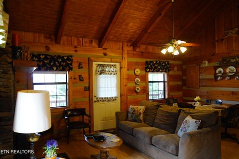 Tiny photo for 994 Emilyville Way, Cosby, TN 37722 (MLS # 1333289)